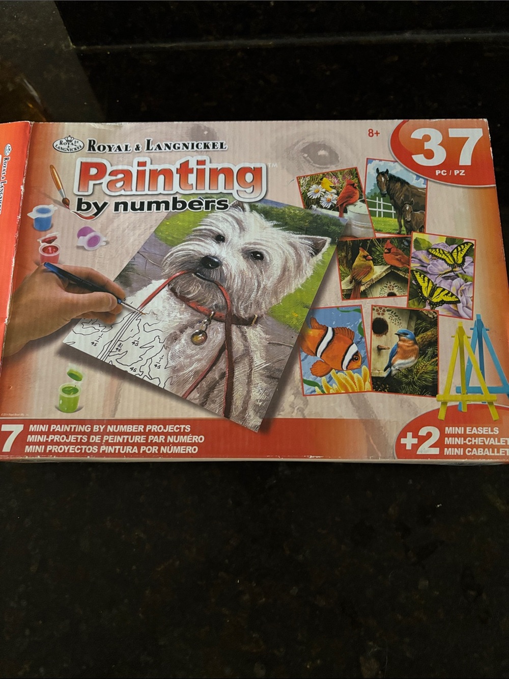 Painting by Numbers Kit -NIB